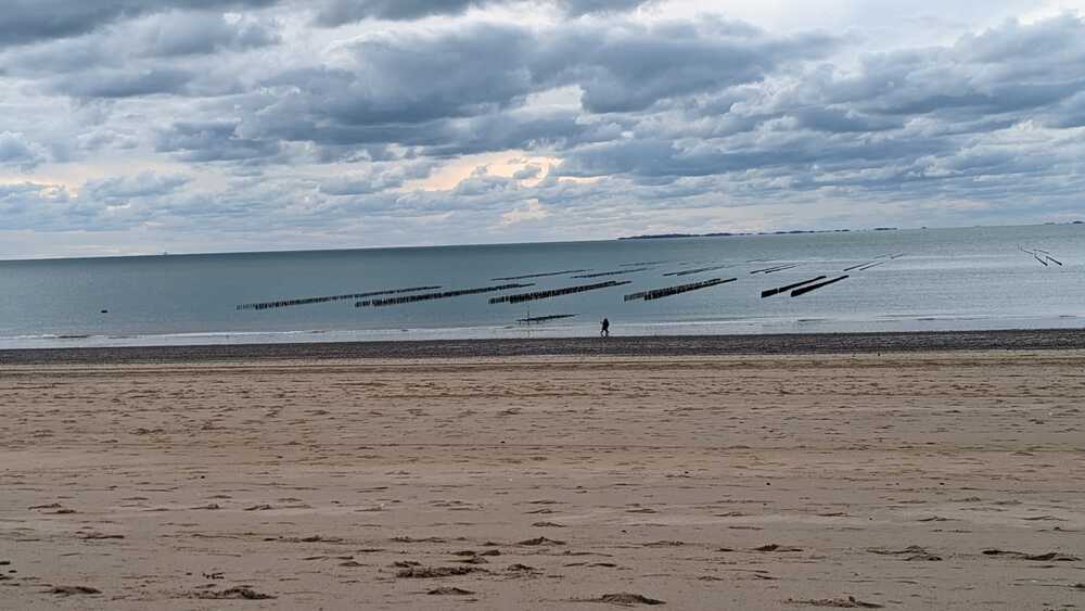 Granville's beach in Normandy featuring an oyester farm