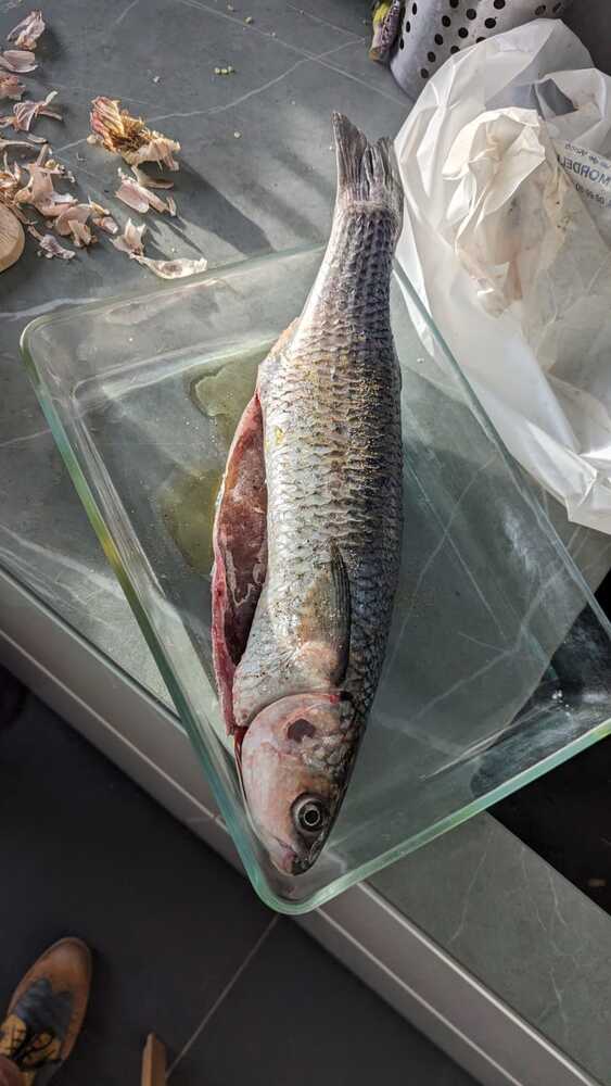 Sharing some fish from Rennes' market before our flight